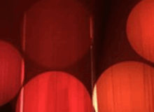 Фото Поговорим о цвете